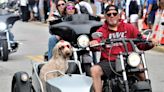 Daytona Beach Bike Week crowds top 420,000, based on cellphone tracking technology