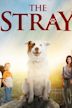 The Stray (film)