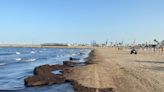 Una mancha negra de algas obliga a cerrar la playa de Las Arenas de Valencia
