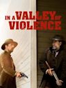 Nella valle della violenza