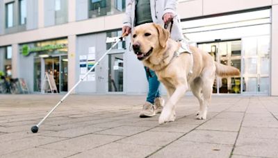 Blind Man & Service Dog Kicked out of Washington Restaurant