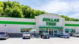 18 productos de Dollar Tree para el verano que se consiguen a $1.25 - El Diario NY