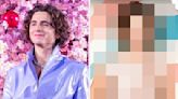 Timothée Chalamet's Sheer Shirt Look At The "Wonka" Premiere Has Me Dumbfounded