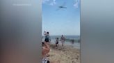 Swarm of dragonflies startles beachgoers in Rhode Island