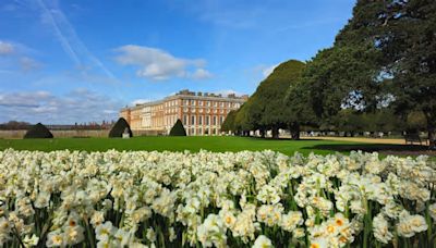 Hampton Court Palace gardens free open days