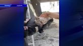 Miami firefighters rescue kitten trapped inside tube under I-95 - WSVN 7News | Miami News, Weather, Sports | Fort Lauderdale