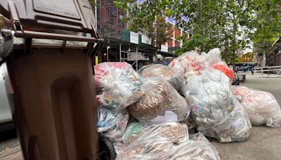 New York's viral new trash cans unveiled nearly 2 years after a $1.6 million contract with consultancy giant McKinsey