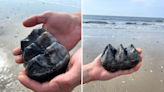 "Once in a lifetime" mastodon fossil tooth found on South Carolina beach
