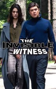 The Invisible Witness