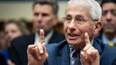 Fauci Calls GOP Accusation He Covered Up COVID's Origins 'Preposterous'