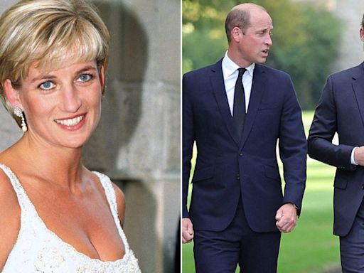 William and Harry won't inherit Diana's childhood home as surprising heir gets Althorp property