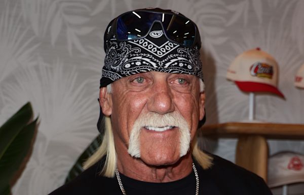 Hulk Hogan Thinks This WWE Star Could Be The Next Stone Cold Or Rock - Wrestling Inc.