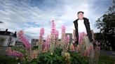 Why does purple dominate in lupin fields? Biology and the bees, says scientist | Globalnews.ca