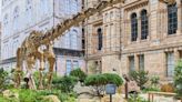 Natural History Museum opens new urban gardens complete with bronze dinosaur