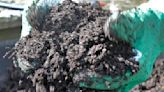 GARDENING IN CNY: Gardening soil basics part one — texture