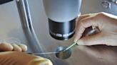 ‘People were extremely stressed and anxious’: IVF treatment through NHS plummets by 7% in pandemic