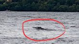 聲納證實牠「活在尼斯湖底」！專家驚見15m巨龍黑影 親曝水怪4次「現身瞬間」