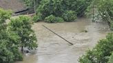 Fallen trees, mudslides, missing deer: How Toronto’s flood impacted Don Valley wildlife — and why finding goldfish has experts worried