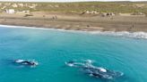 Una playa argentina quedó seleccionada entre las mejores 100 del mundo