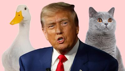 The truth behind Trump’s pet-eating conspiracy theory