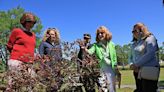 VIDEO: Little Rock Garden Club Plants Over 30 Trees at War Memorial Park Trail | Arkansas Democrat Gazette