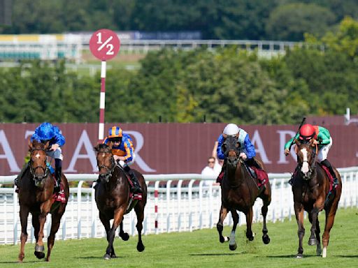 Notable Speech bounces back in Sussex Stakes