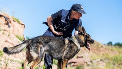 美德盧跨國軍犬培訓 強化作業互通性