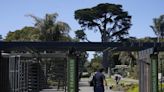 Officers kill 3 coyotes at San Francisco Botanical Garden after attack on 5-year-old girl