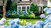 Growing Hydrangeas? These Are the 5 Main Types, and How They Differ