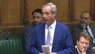 Nigel Farage Reveals 1 Unexpected Element Of Life In Parliament – And It's To Do With Brexit