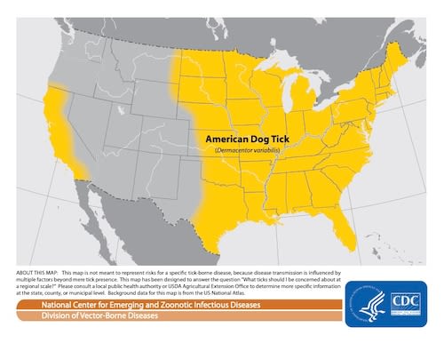 These maps show what ticks live in Massachusetts