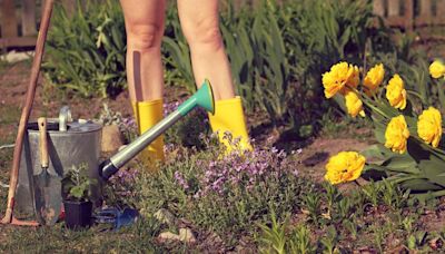 Best cities for naked gardening