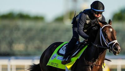 2024 Belmont Stakes horses, futures, odds, date: Expert who nailed 4 of 6 winners unveils picks, predictions