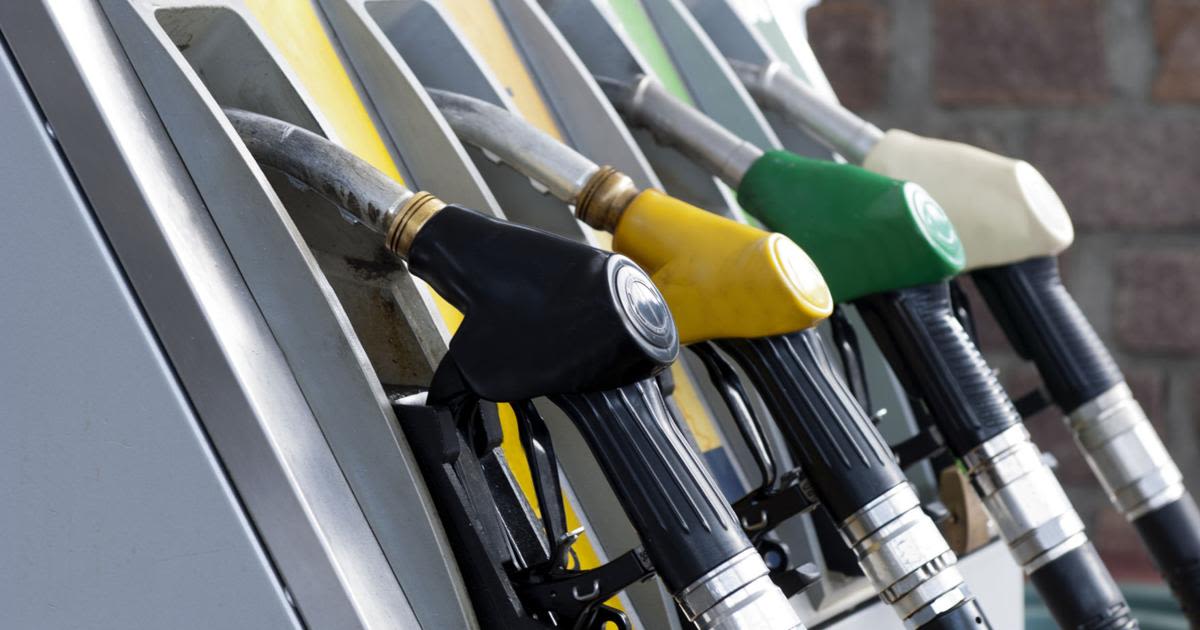 Area gasoline prices hold amidst small drop in NY