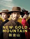 New Gold Mountain (TV series)