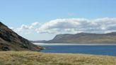 Greenland is turning green again for the first time since medieval times. Why it matters.