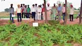 PAU launches training programme on integrated farming systems in Patiala