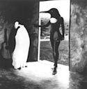 Penguin Cafe Orchestra