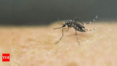 1st pregnant woman detected with Zika in Pune; cases now 5 | Pune News - Times of India