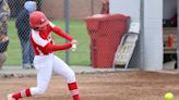 Vote for Messenger/Herald softball player of year