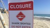 Shark knocks surfer off board, prompts San Clemente water closure