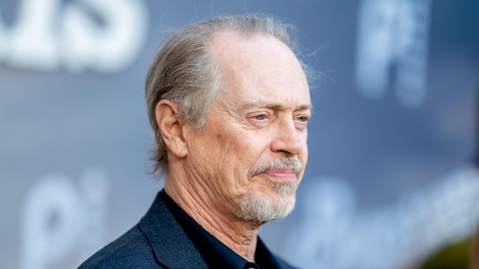 Steve Buscemi OK after being punched in face in NYC