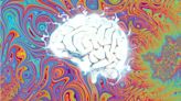 Wie verändert sich das Gehirn während eines DMT-Trips?