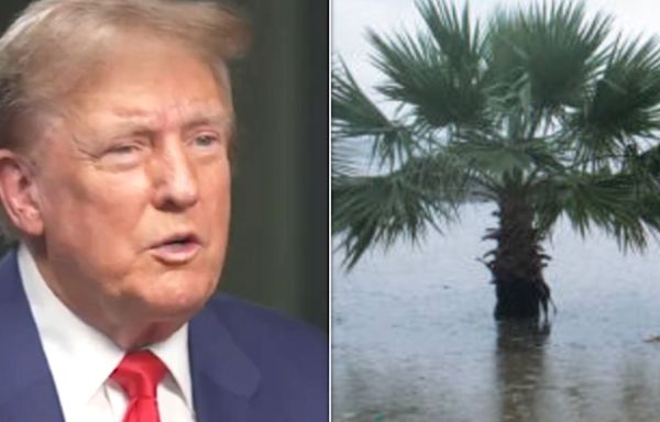 Donald Trump's 'Nonsensical' Jab At Rising Sea Levels Is Hit By Wave Of Mockery