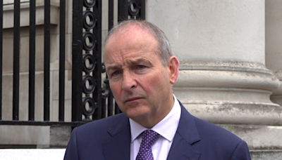 Micheál Martin insists government will keep engaging with UN on Pte Sean Rooney investigation