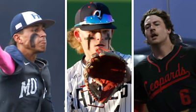 SportsDayHS 2024 all-area baseball awards: Offensive player, pitcher of the year and more