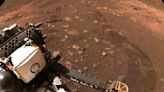 NASA: cómo es la fascinante roca encontrada en Marte que podría dar pistas de vida antigua - La Tercera