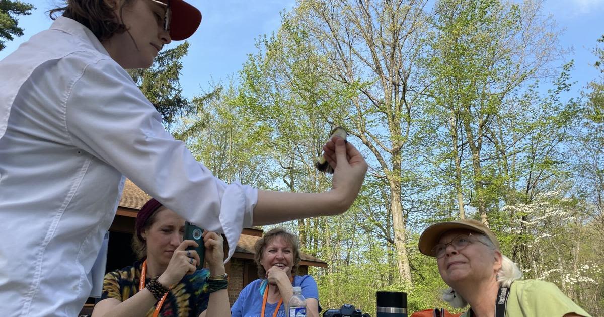 Birders to flock back to Northwest Indiana for Indiana Dunes Birding Festival