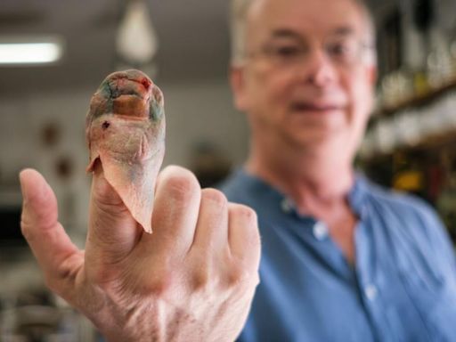 For sale: Gangrenous toe, ‘like new.’ This Toronto man made props for your favourite TV shows. Now, everything must go