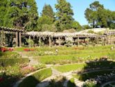 Berkeley Rose Garden